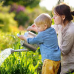 Blue poppies shine at Gardening Scotland Tom Smart